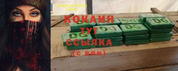соль ск Абаза