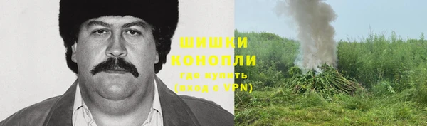 соль ск Абаза