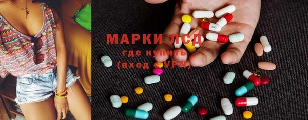 трава Новозыбков