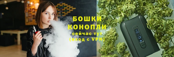 соль ск Абаза
