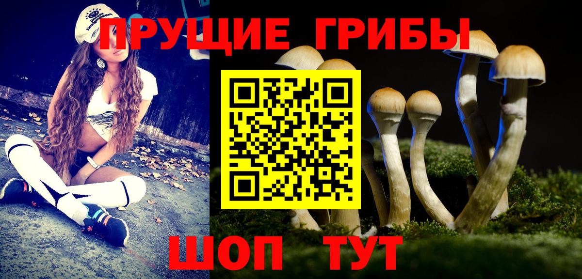 Галлюциногенные грибы мухоморы  Вход с VPN  Дербент  цена наркотик  Псилоцибиновые грибы ЛСД 