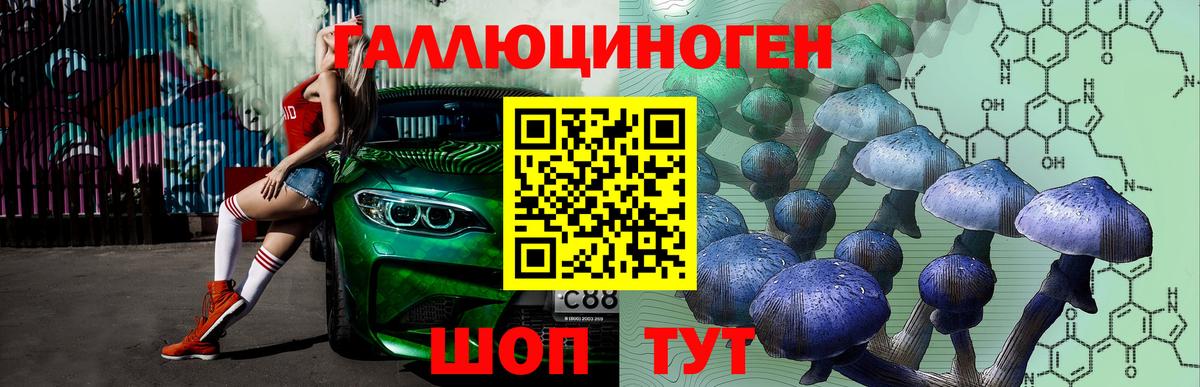 Псилоцибиновые грибы ЛСД Дербент